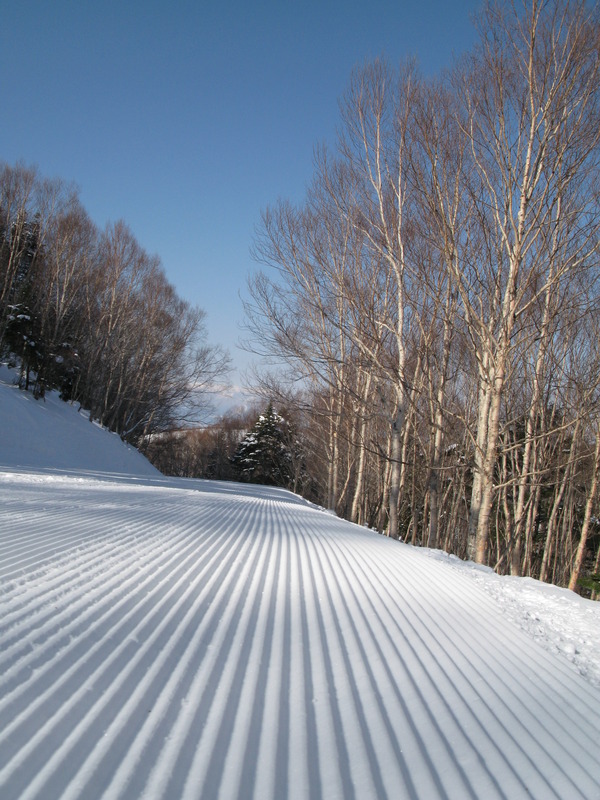 Corduroy Carpet, next is Shiga Kogen Pratiwi