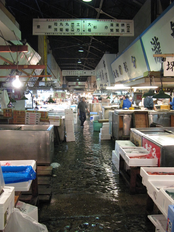 Tsukiji Wholesaler Space, next is Frozen Tuna