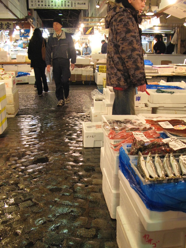 Tsukiji Wholesaler Space, next is More Fish