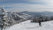 Shiga Kogen Pratiwi (215K)