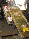 Tsukiji Trollys (204K)