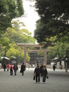 Meiji Jingu Torii (211K)