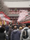 Asakasa Stalls (211K)
