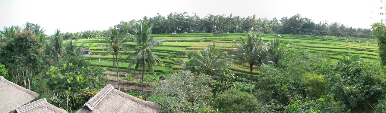 Maya Ubud Rice Paddy, next is Kupu Kupu Barong Room
