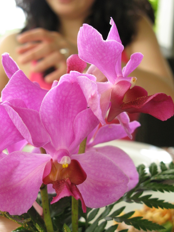 Bali Orchid, next is Kupu Kupu Barong View