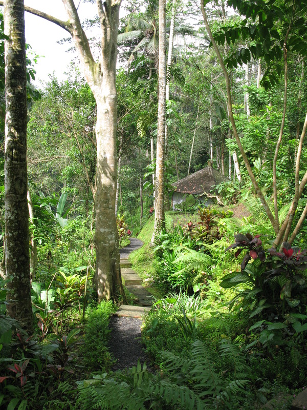 Maya Ubud Garden, next is Maya Ubud Rob & Pratiwi