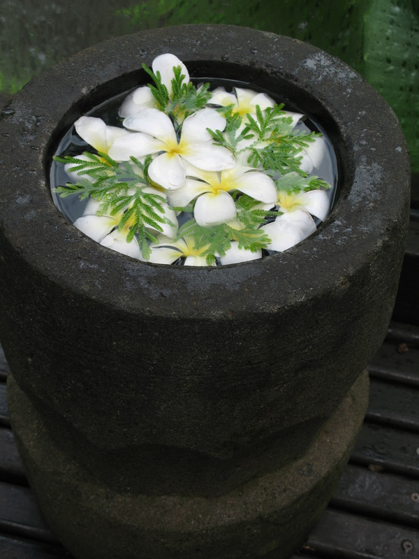Bali Frangipani, next is Pratiwi Ibu Oka