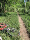 Bali Single Track (334K)