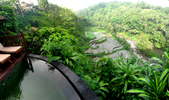 Kupu Kupu Barong View (248K)