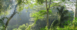 Maya Ubud Garden View (472K)