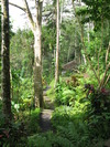 Maya Ubud Garden (308K)