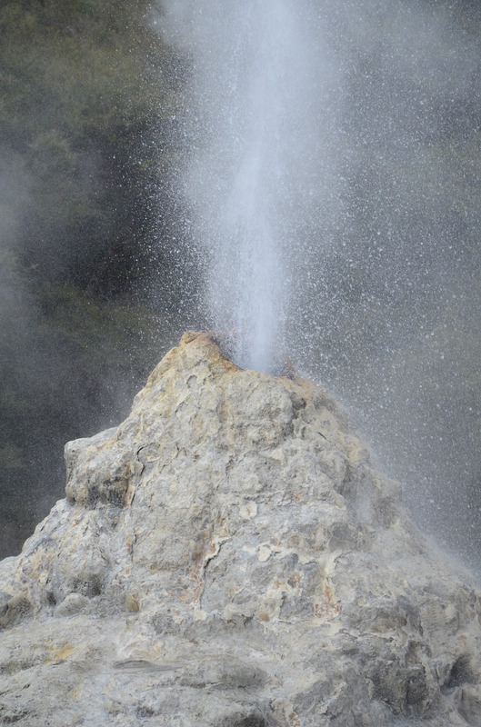Lady Knox Geyser, next is Lady Knox Geyser