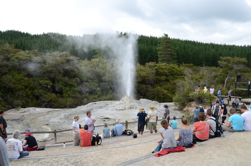 Lady Knox Geyser, next is Wai-O-Tapu Mud Hole