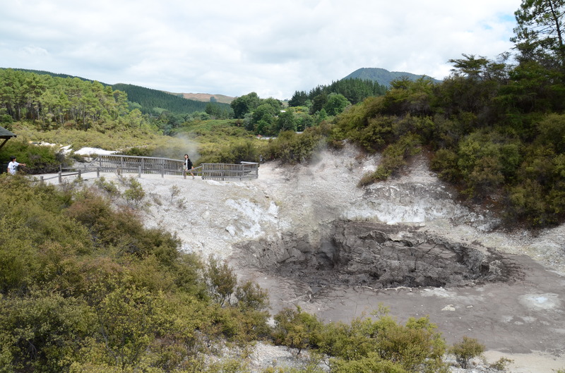Wai-O-Tapu Mud Hole, next is Wai-O-Tapu Mud Hole