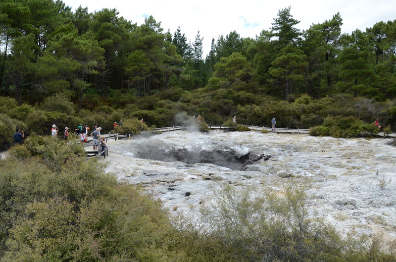 Wai-O-Tapu Mud Hole, next is Wai-O-Tapu Silliness