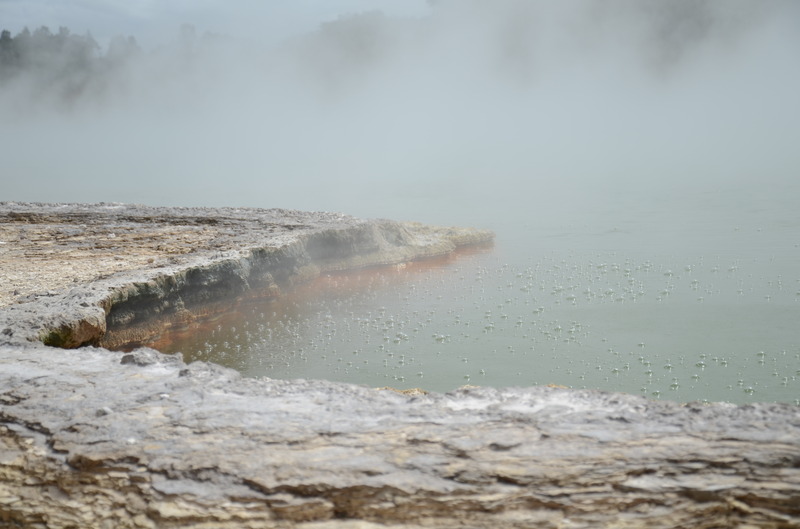 Champagne Pool, next is Fallen Tree