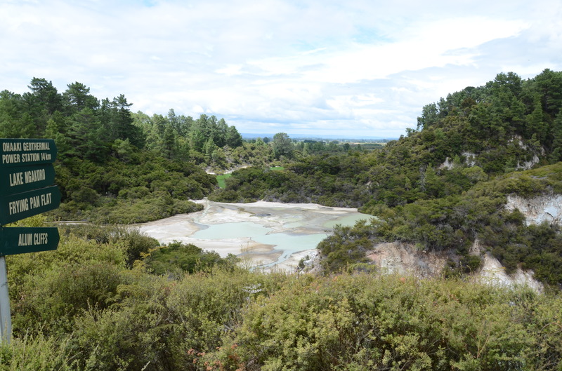Wai-O-Tapu Vista, next is Distant Lake