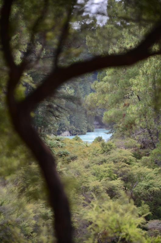 Distant Lake, next is Wai-O-Tapu Water