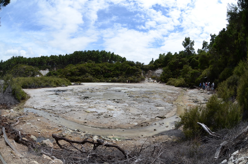 Wai-O-Tapu Flat, next is Wai-O-Tapu Tree