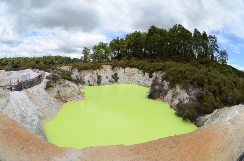 Green Pool, next is Rotorua Tree