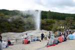 Lady Knox Geyser (166K)