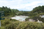 Wai-O-Tapu Vista (183K)