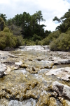 Wai-O-Tapu Water (223K)