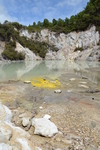 Wai-O-Tapu Pool (192K)